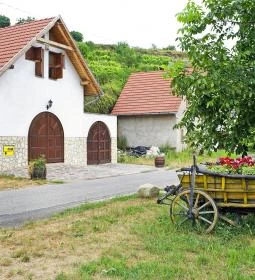 5. legjobb látnivaló: Szerelmi pincesor