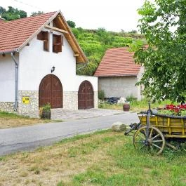 Szerelmi pincesor Tokaj - Egyéb