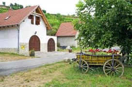 Szerelmi pincesor Tokaj