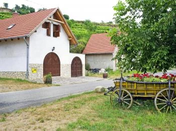Szerelmi pincesor Tokaj