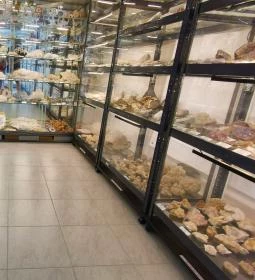 Lepke- és ásványkiállítás