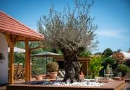 Casa Oliva Tokaj Tokaj