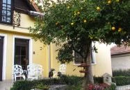 Torkolat Panzió Tokaj