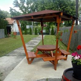 Viktor Vendégház Tokaj - Medence/kert