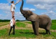 Töltéstava - Kimba Elefánt Park