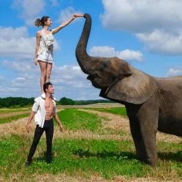 Kimba Elefánt Park Töltéstava - Egyéb