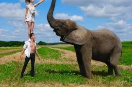 Kimba Elefánt Park Töltéstava