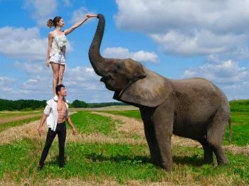 Kimba Elefánt Park Töltéstava