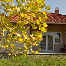 Bokros Vendégház Tordas - Külső kép