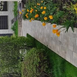 Garden Home Törökbálint Törökbálint - Medence/kert