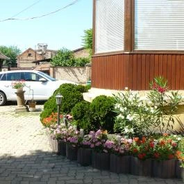 MO-HA Panzió Törökszentmiklós - Medence/kert