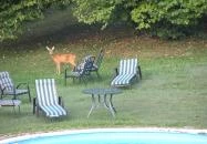 Cseri Kastély Szálloda & Étterem Tótvázsony