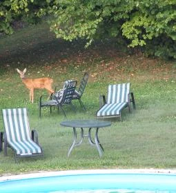 Cseri Kastély Szálloda & Étterem