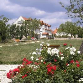 Hotel Bakony Tótvázsony - Környék