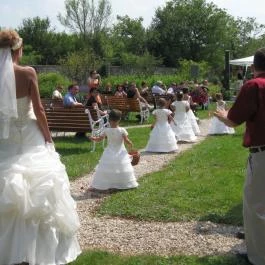 Hotel Bakony Tótvázsony - Egyéb