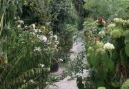 Erdőszéli Vendégház Túristvándi