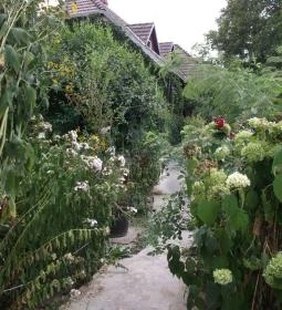 Erdőszéli Vendégház 