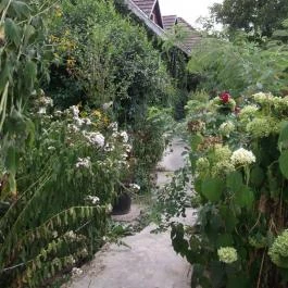 Erdőszéli Vendégház Túristvándi - Medence/kert