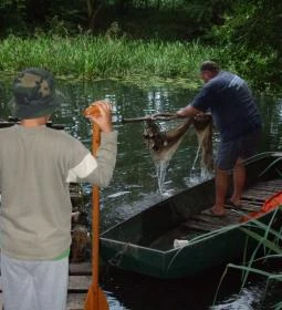 Erdőszéli Vendégház 