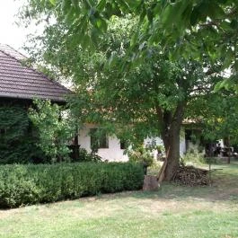 Erdőszéli Vendégház Túristvándi - Medence/kert