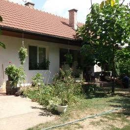 Erdőszéli Vendégház Túristvándi - Medence/kert