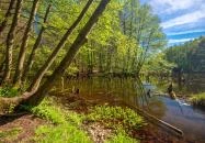 Ugod - Bakonyi Gyilkos-tó