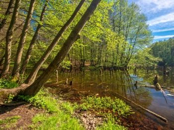 Bakonyi Gyilkos-tó Ugod