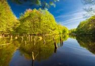 Bakonyi Gyilkos-tó Ugod