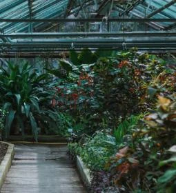 Nemzeti Botanikus Kert Karbonház