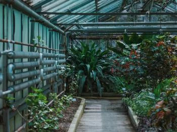 Nemzeti Botanikus Kert Karbonház Vácrátót