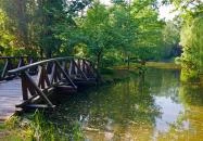 Vácrátót - Vácrátóti Arborétum 