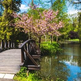 Vácrátóti Arborétum Vácrátót - Egyéb