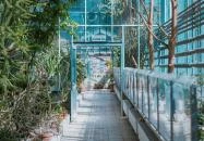 Vácrátóti Arborétum Vácrátót