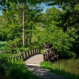 Vácrátóti Arborétum Vácrátót - Egyéb