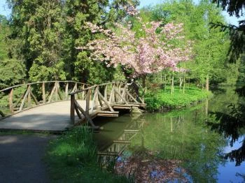 Nagy-tó Vácrátót