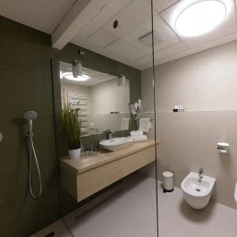 Nádas Tó Park Hotel Vasad - Szobák