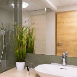 Nádas Tó Park Hotel Vasad - Szobák