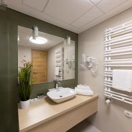 Nádas Tó Park Hotel Vasad - Szobák