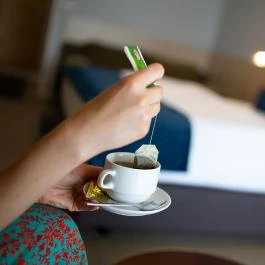 Nádas Tó Park Hotel Vasad - Szobák