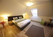 Nádas Tó Park Hotel Vasad