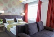 Nádas Tó Park Hotel Vasad