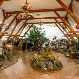 Hunor Hotel és Étterem Vásárosnamény - Egyéb