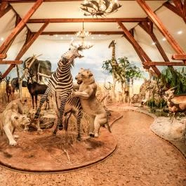 Hunor Hotel és Étterem Vásárosnamény - Egyéb