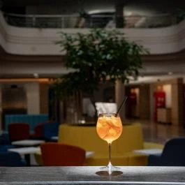 Airport Hotel Budapest Vecsés - Vendéglátás