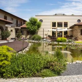 Hotel Stáció Wellness & Konferencia Vecsés - Medence/kert