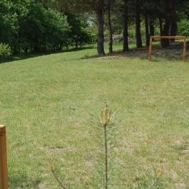 Ciklámen Apartman Velem - Medence/kert