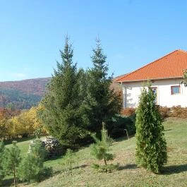 Ciklámen Apartman Velem - Medence/kert