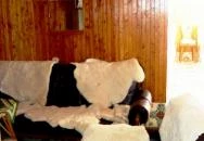 Gréti Vendégház Velem