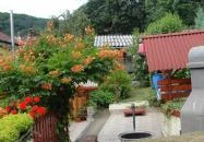 Virágos Vendégház Velem