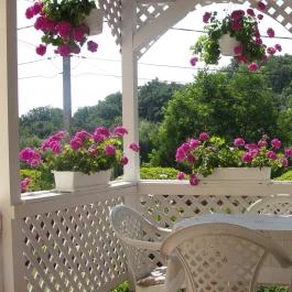 Virágos Vendégház Velem - Medence/kert